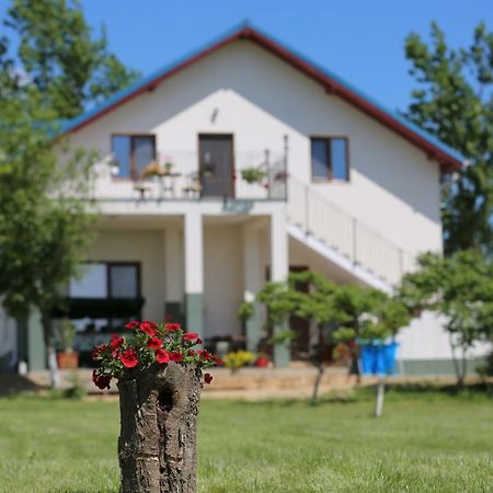 Pensiunea Palaghia Jurilovca Bagian luar foto
