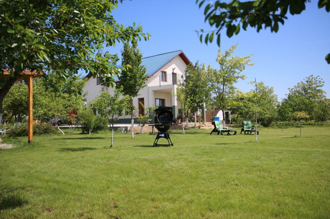 Pensiunea Palaghia Jurilovca Bagian luar foto