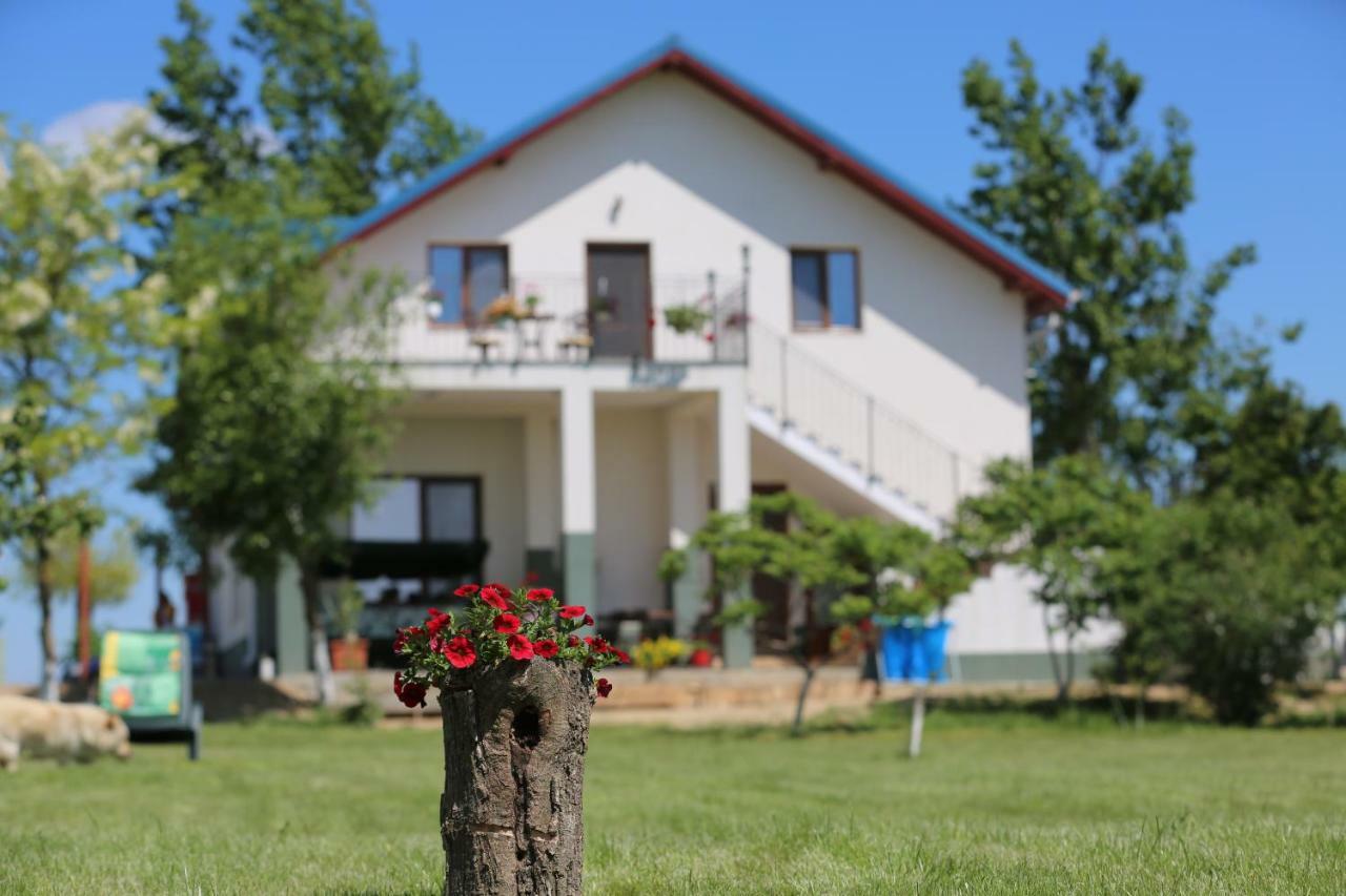 Pensiunea Palaghia Jurilovca Bagian luar foto