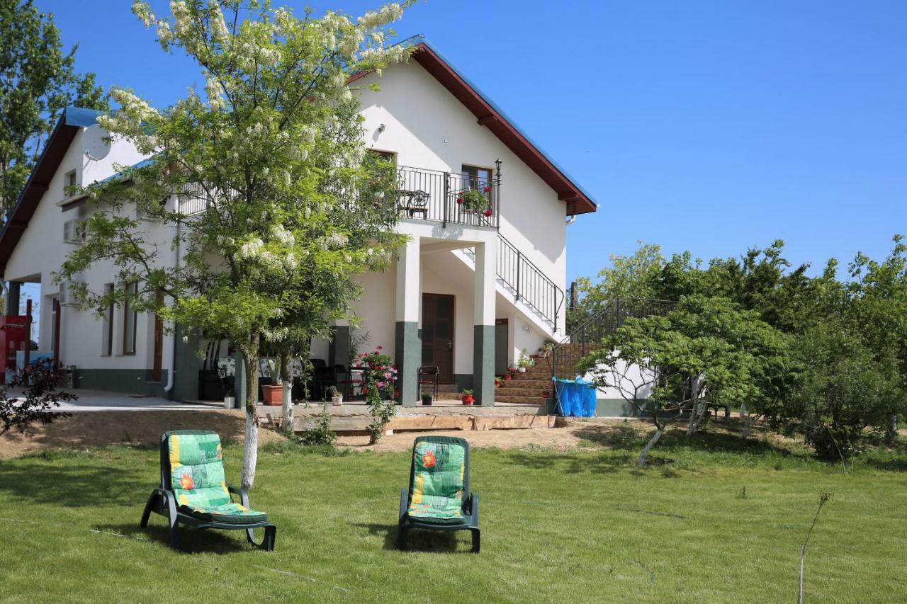 Pensiunea Palaghia Jurilovca Bagian luar foto