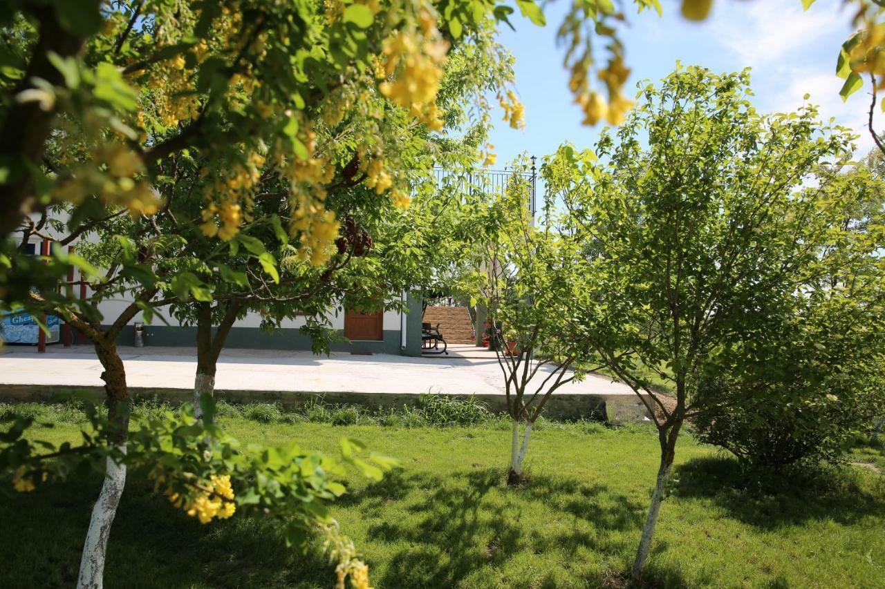 Pensiunea Palaghia Jurilovca Bagian luar foto